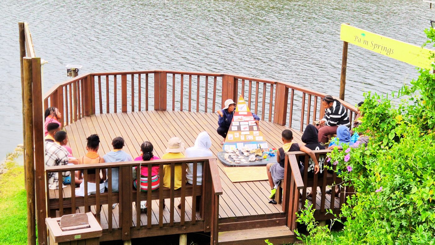 Environmental education lesson on the deck at Palm Springs Resort